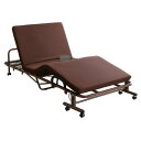 電動リクライニングベッド 約199.5×90.5×42.5cm ブラウン キャスター付き 高反発 スチール 組立品 ベッドルーム (代引不可)