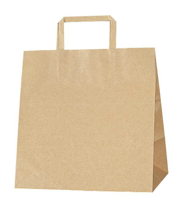 手堤袋 H25チャームバッグ E (平手) 50枚入 未晒無地(代引不可)【送料無料】