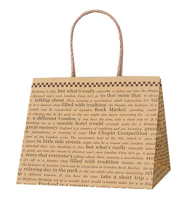 手堤袋 Pスムース 25-19 (25枚入) 未晒チェッカー(代引不可)【送料無料】