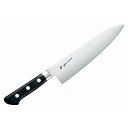 EBM E-PRO モリブデン 洋出刃 24cm(代引不可)【送料無料】