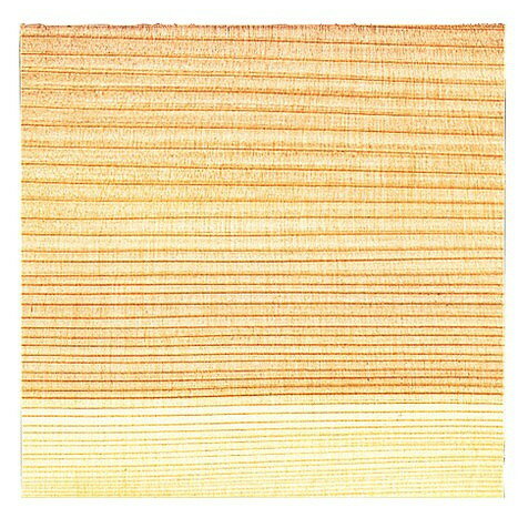 杉懐敷(100枚入)4寸 24001(代引不可)【送料無料】