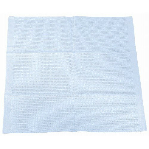 抗菌・防臭キッチンタオル 銀の力 ブルー(代引不可)【送料無料】