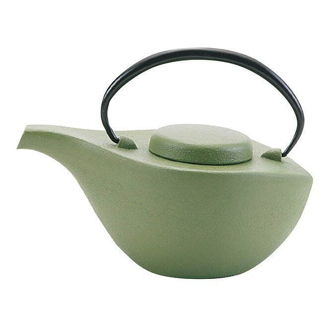 南部鉄 急須 曳舟 若草艶消 12471 カフェ・サービス用品 急須(代引不可)【送料無料】