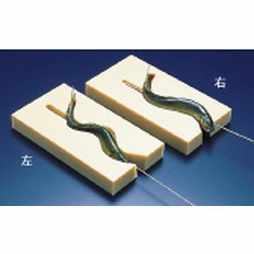 山県 PE魚串打ち器 大 左 DSK02012【送料無料】