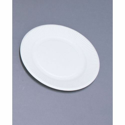ペーパーウェア スタンダードプレート(100枚入) No.8 181923 GST1604