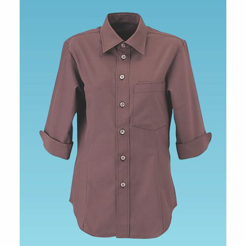 サンペックスイスト 男女兼用ショップコートET-5733 L (ショコラ) SSY2304【送料無料】