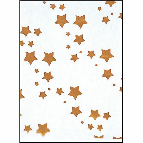 福助工業 SKバッグ 星(100枚入) No.6 XBT1002【送料無料】