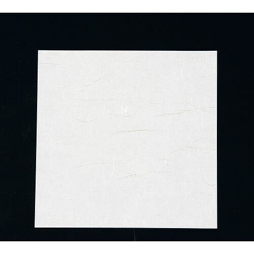 アーテック ニュー四季懐紙 5寸（100枚入） NS-65 無地 QKIJ701 JANコード 4560164127693●幅×奥行(mm):150×150●材質：両面ポリラミ金銀■和紙の表面に特殊加工してありますので、絵柄の 上に直接食品を載せて頂けます。■水分・油分を通さず、盛り付けの美しさを保ちます。【送料について】北海道、沖縄、離島は送料を頂きます。