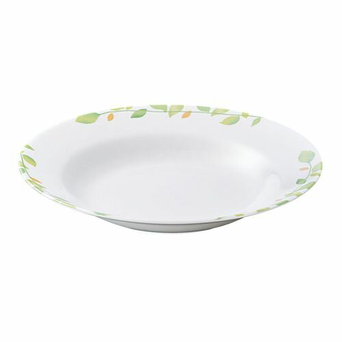 Other Dishes - 遠藤商事 メラミン「シトラス」 21cmスープ皿 CI-261 RMV3101