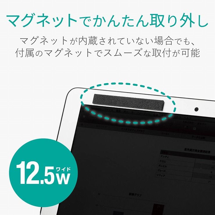 エレコム のぞき見防止フィルターマグネットタイプ(2way) EF-PFM125W(代引不可)【送料無料】【メール便（ネコポス）】 2