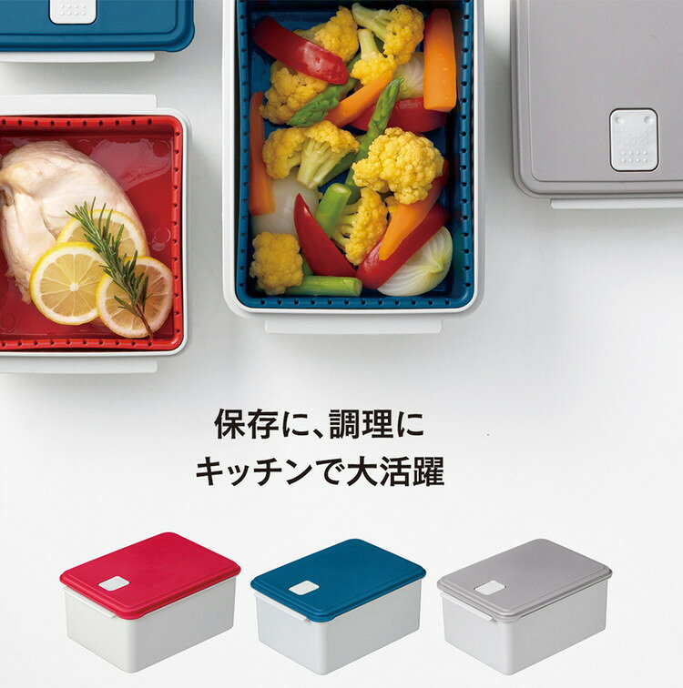 リコメン堂のスケーター 電子レンジスチーム調理L 保存容器 ブルー UDY2ST Skater【送料無料】｜アングル2