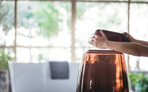 グラスカGLASSCAバススツールウォッシュボールセット日本製風呂椅子ふろいすフロイスバスバスチェア腰かけ湯おけ【あす楽対応】【ポイント10倍】【送料無料】【smtb-f】