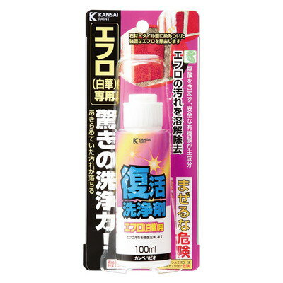 カンペハピオ 復活洗浄剤 エフロ用 100ML 00017660062100(代引不可)