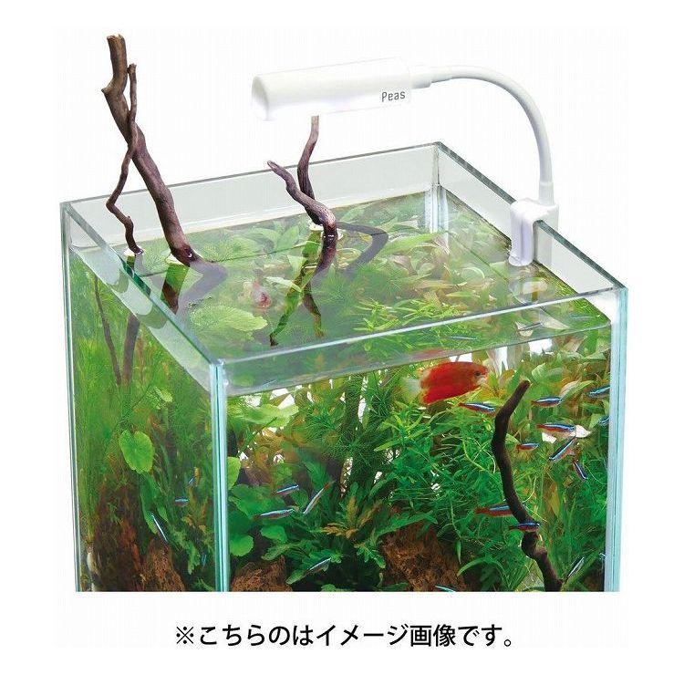 �ߥ�LED �ԡ��� �֥�å� ������(����Բ�)������̵����