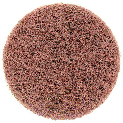 イチグチ BS 刃物汚れ落とし用ディスク 75mm 87068(代引不可)