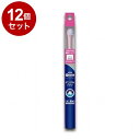 【12個セット】 ライオンペット PETKISS ベッツドクタースペック デンタルブラシ ダブル毛 犬猫用 1本【ポイント10倍】【送料無料】