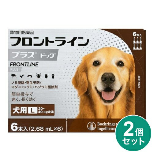 【動物用医薬品】 【2個セット】 フロントライン 犬用 L 20〜40kg未満 6本入 ノミ 蚤 ダニ ハジラミ 駆除剤 駆除液 動物用 ペット用 医薬品 中型...