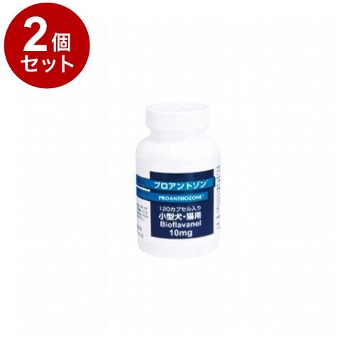 【2個セット】 共立製薬 プロアントゾン 犬猫用 10mg 120粒【ポイント10倍】【送料無料】