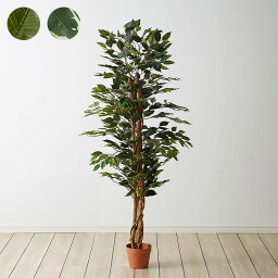 人工観葉植物 フィカス ロータイプ ゴムの木 フェイクグリーン インテリアグリーン 造花 観葉植物 人工 フェイク グリーン(代引不可)【送料無料】