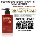 2本組ノンシリコンシャンプー　『DRAGON　SCALP』【あす楽対応】【RCP】