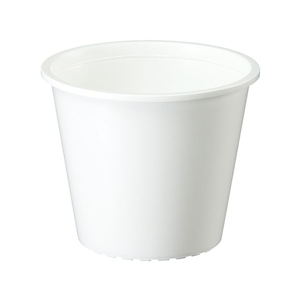 �ץ�ȭ��4�� 0.5L���ۥ磻��