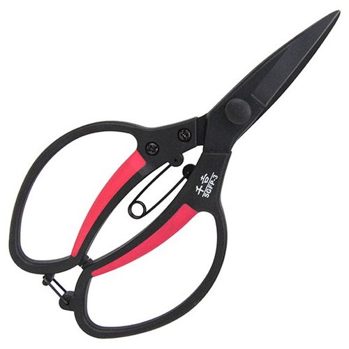 GF������ ���� SGFP-3 �����ǥ˥� ������� ������ ���ڤ� �Ϥ���