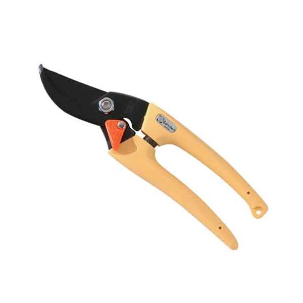 ��ǥ����������� ��������