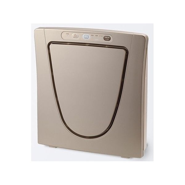 空気清浄機 マイナスイオン発生機能付き メタリックベージュ 高性能HEPAフィルター採用(代引不可)【送料無料】