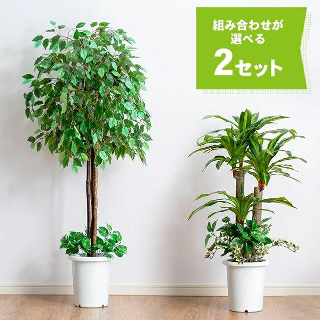 観葉植物 インテリアグリーン 2点セット ベンジャミン 幸福の木 鉢ポット付き 光触媒加工 人工観葉植物 水やり不要 オフィス 事務所 お店 自宅 フェイクグリーン(代引不可)【送料無料】