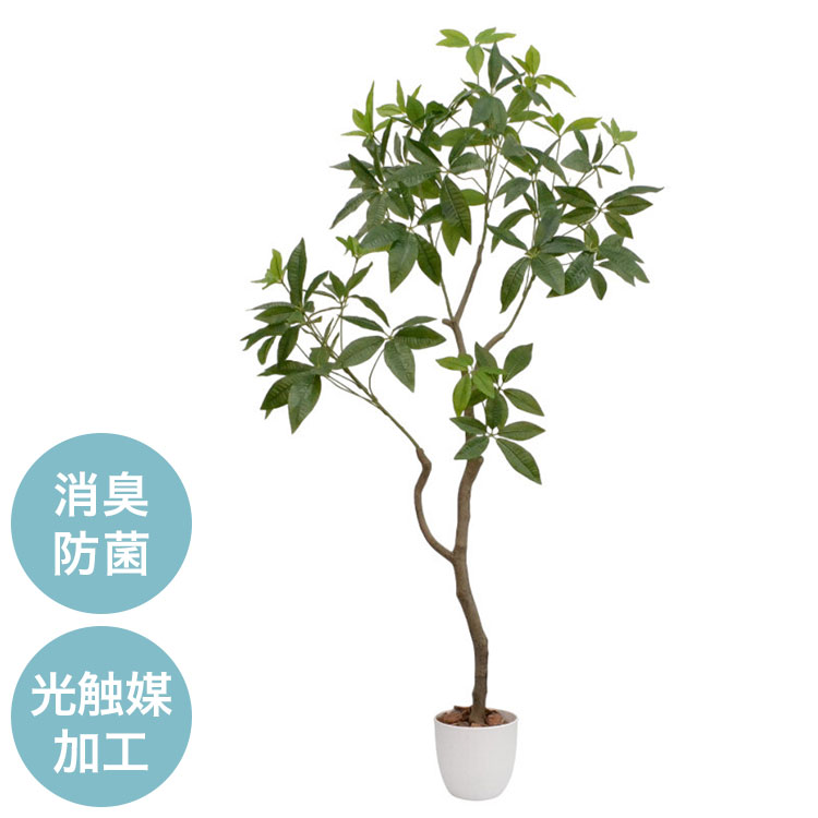 光触媒 インテリア グリーン パキラ 人工観葉植物 フェイクグリーンインテリア 飾り 室内 屋内 オフィ..