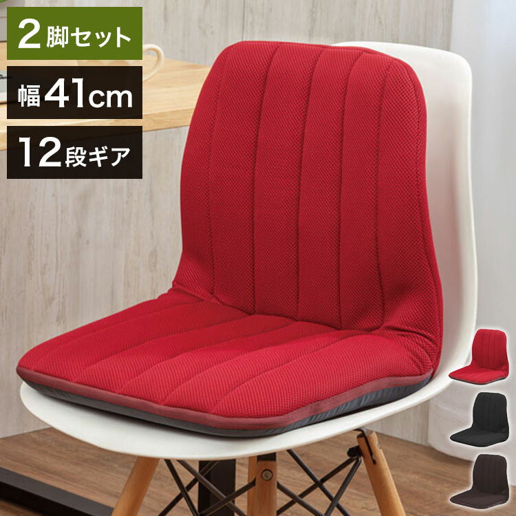 背筋サポートリクライニングチェア 2個組 サポートチェア 座椅子 姿勢改善 骨盤矯正 仕事用 デスク 書斎 リモートワーク いす 椅子 イス 在宅勤務 12段階リクライニング 姿勢サポートチェア(代引不可)【送料無料】(3.0)