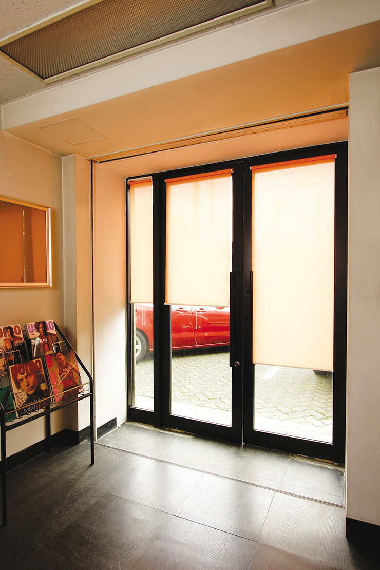 ビス止めタイプ スリムロールスクリーン 60×180cm 防炎 消臭 防汚 抗菌(代引不可)【送料無料】