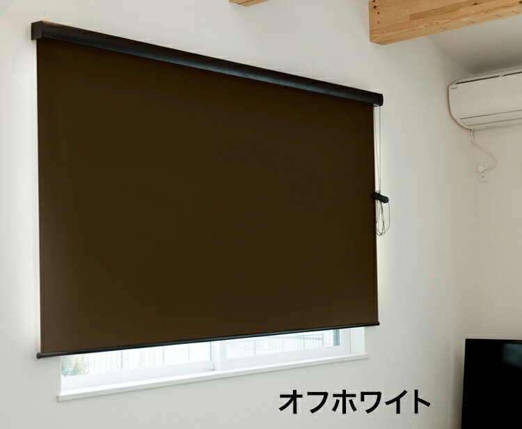 ロールスクリーン カバー付き 遮光 幅45cm×高さ135cm シンプル おしゃれ 北欧 オフィス マンション 間仕切り ロールカーテン(代引不可)【送料無料】 [2]
