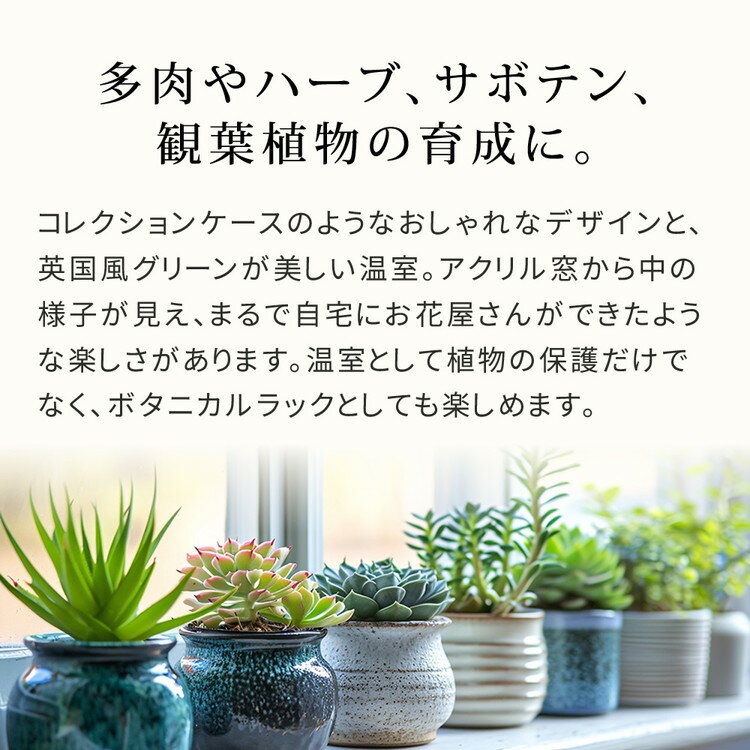 �������ե��꡼��ϥ��� (����) ��OWN��(������) GRH45 ���� ���� ���å� �ʰ� ���տ�ʪ ¿����ʪ �����ǥ� ��� ������� ���� ������ �ݲ�(����Բ�)