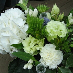 フラワーアレンジメント 白花とグリーンのアレンジ 生花 (誕生日 プレゼント アレンジ フラワーギフト 花 電報 結婚祝い ギフト 結婚記念日 退職祝い 出産祝い)(代引き不可)のサムネイル