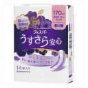 【3個セット】P&Gジャパン ウィスパ- うすさら安心 長時間・夜でも安心用 170cc 14枚 日用品 日用消耗品 雑貨品(代引不可)【送料無料】