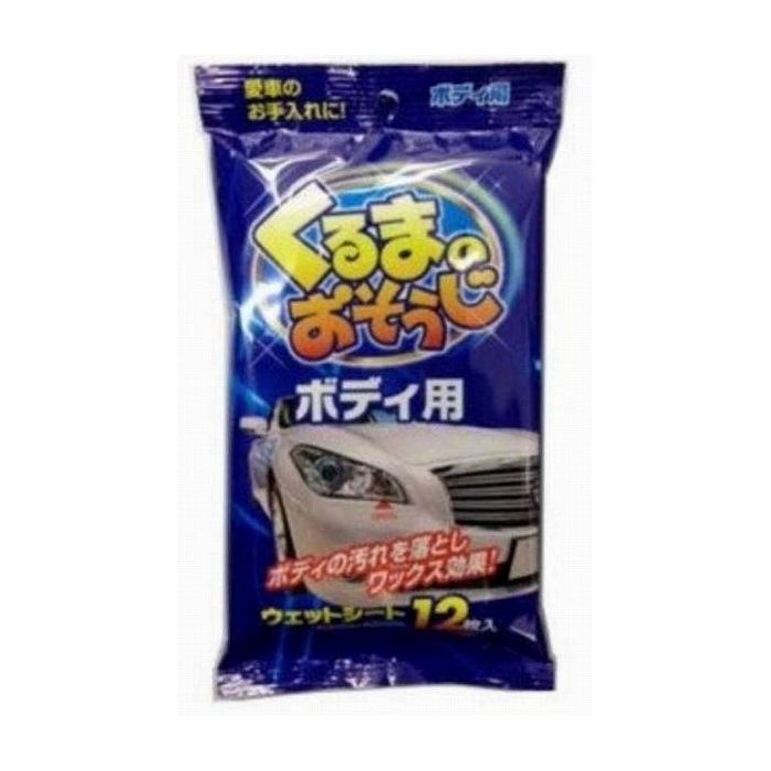 ペーパーテック くるまのおそうじボディ用12枚 日用品 日用消耗品 雑貨品(代引不可)