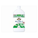 ライオン キレイキレイ 薬用液体ハンドソープ つめかえ用特大サイズシトラスフルーテイ(代引不可)