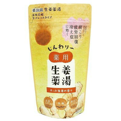 【単品】ヘルス ショウガ薬湯 ホットショウガ 50g×6錠(代引不可)