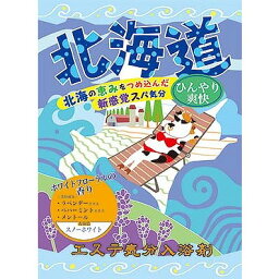 【10個セット】ヘルス エステ気分入浴剤 北海道 40g(代引不可)