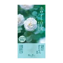 【単品9個セット】 かたりべ ホワイトローズ バラ詰(代引不可)【送料無料】