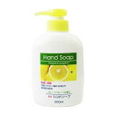 【単品7個セット】 第一石鹸薬用ハンドソープ本体250ML 第一石鹸西日本(代引不可)【ポイント10倍】【送料無料】