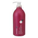 サロンリンク アミノ ダメージリペア 椿シャンプー 1000ML(代引不可)