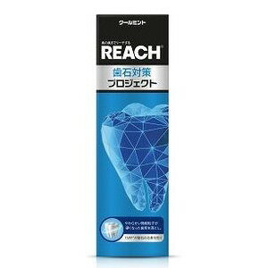 リーチ歯石対策プロジェクト歯みがき(代引不可)