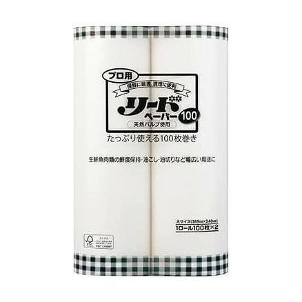 業務用 プロ用リードペーパー100 大サイズ ライオンハイジーン(代引不可)【ポイント10倍】