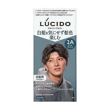【単品20個セット】 ルシード デザインヘアカラー クールアッシュ (医薬部外品) マンダム(代引不可)【ポイント10倍】【送料無料】