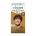 【単品20個セット】 ルシード デザインヘアカラー モダンブラウン (医薬部外品) マンダム(代引不可)【ポイント10倍】【送料無料】