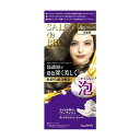 【単品20個セット】 サロンドプロ 泡のヘアカラー・エクストラリッチ(白髪用)4G(グレージュ) ダリヤ(代引不可)【ポイント10倍】【送料無料】