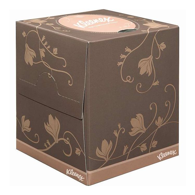 【単品19個セット】 クリネックスティシューデグランデ(代引不可) 【ポイント10倍】【送料無料】(3.0)