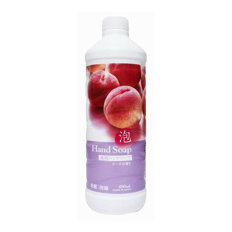 【単品6個セット】 ラブライン薬用泡ハンドソープ詰替 ミツエイ 450mL(代引不可)【ポイント10倍】【送料無料】
